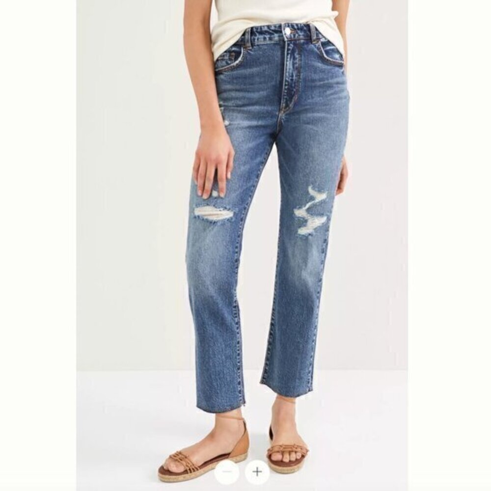 Anthropologie  Pilcro The Vintage Straight Distressed Jeans in Sz 28